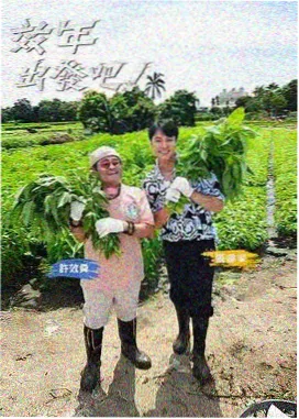 周末出发吧综艺海报